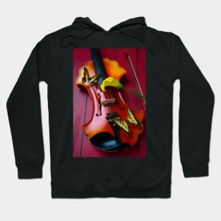 Baroque Violin And Butterflies Hoodie